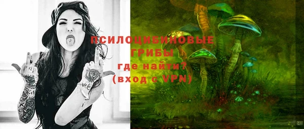 соль ск Алексеевка