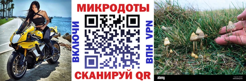 где купить наркоту  дарк нет Telegram  Галлюциногенные грибы Magic Shrooms  Ленинск 